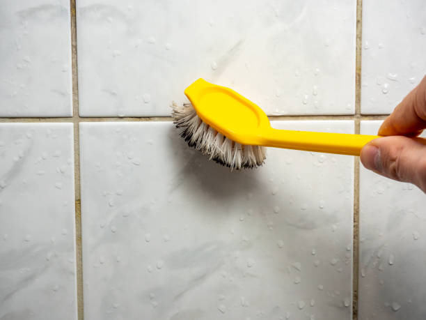 Best Home Mold Removal  in Burton, OH