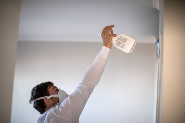 Trusted Burton, OH Mold Removal Experts