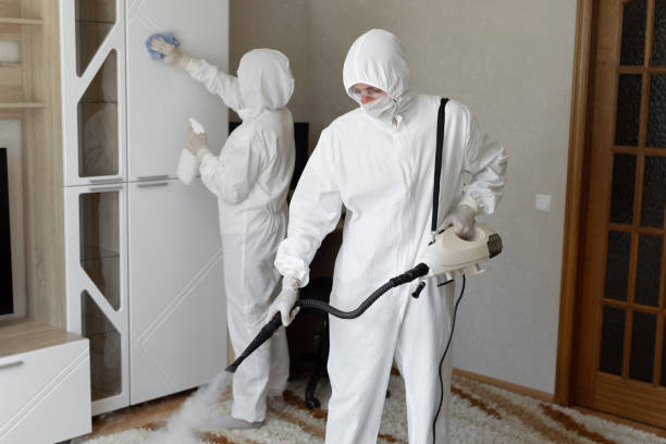 Best Mold Testing  in Burton, OH